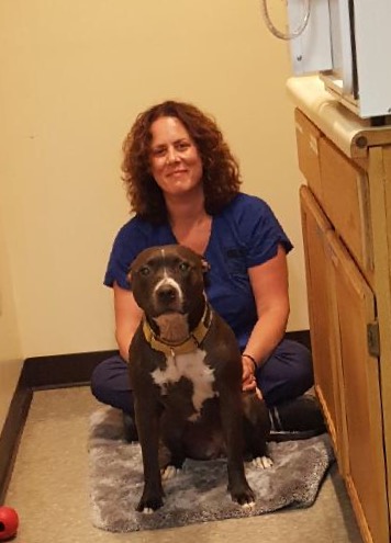 Christina McMahon, Veterinary Technician, CVT: Christina McMahon, Veterinary Technician, CVT: